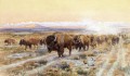 バイソン・トレイルで牛を飼育する西部アメリカ人 チャールズ・マリオン・ラッセル